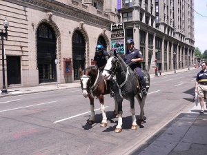 horses on patrol